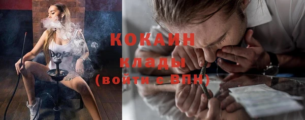 шишки Волосово