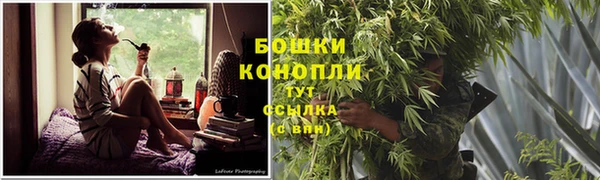 шишки Волосово