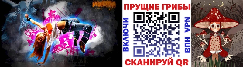 Купить где Омутнинск Галлюциногенные грибы Psilocybine cubensis